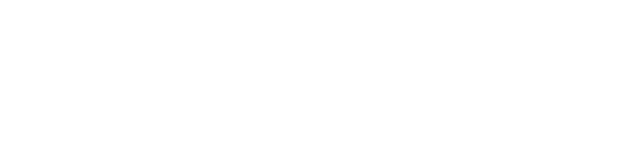 10 Gauge